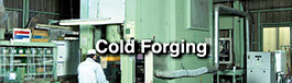 Cold Forging